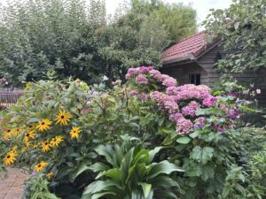 ouder-worden-relatie