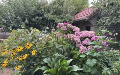 Herfst in de zomer: ouder worden als nieuwe levensfase